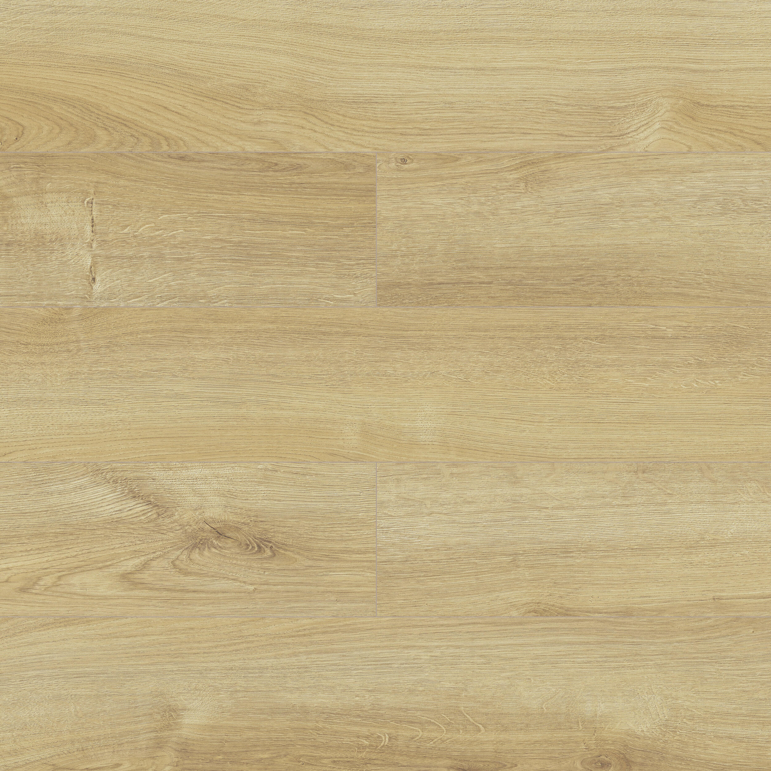 Panele podłogowe laminowane wodoodporne AC5 8 mm Artens Colombo XL struktura naturalnego drewna