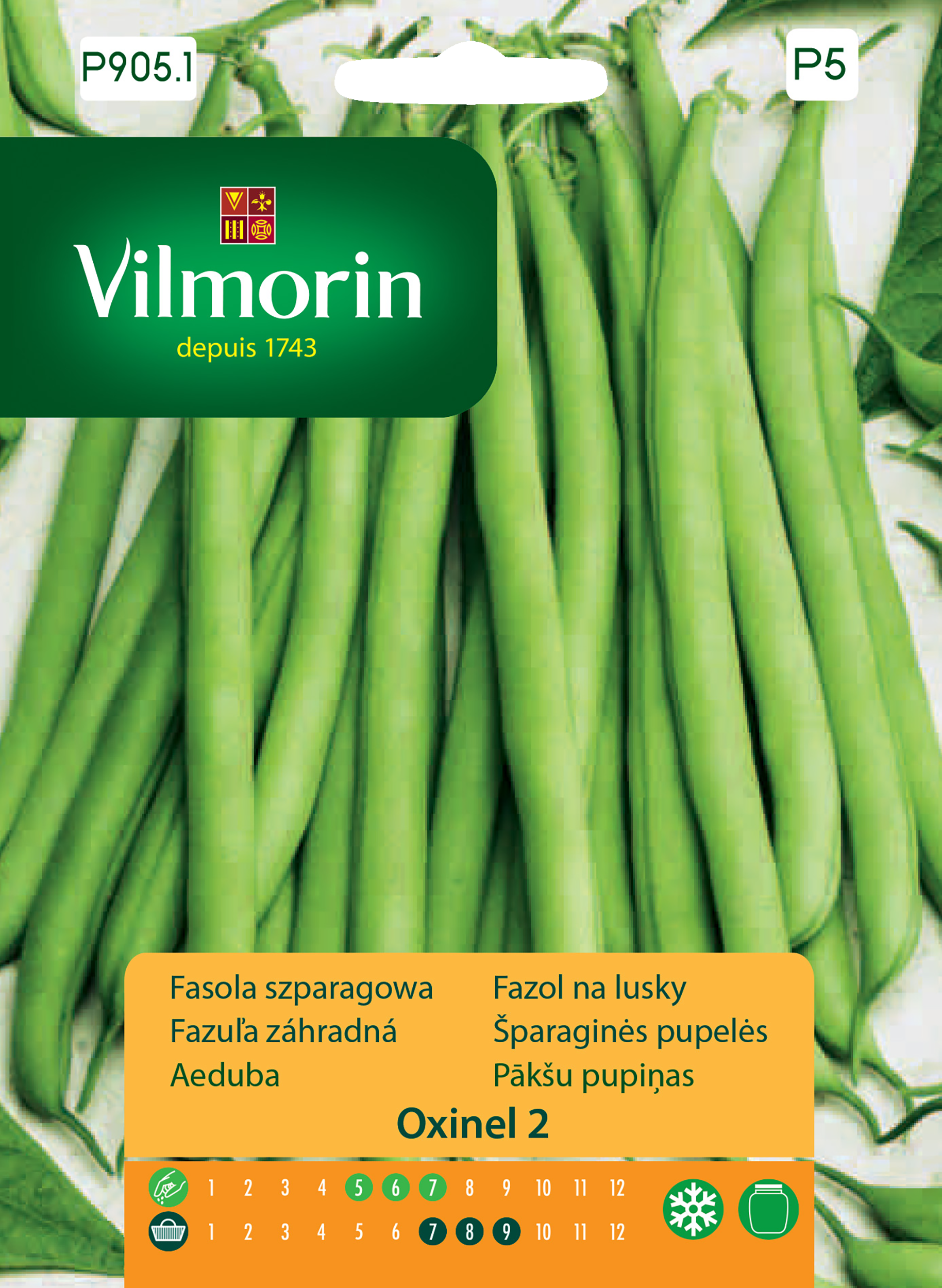 Fasola szparagowa zielona Oxinel 2 nasiona Vilmorin