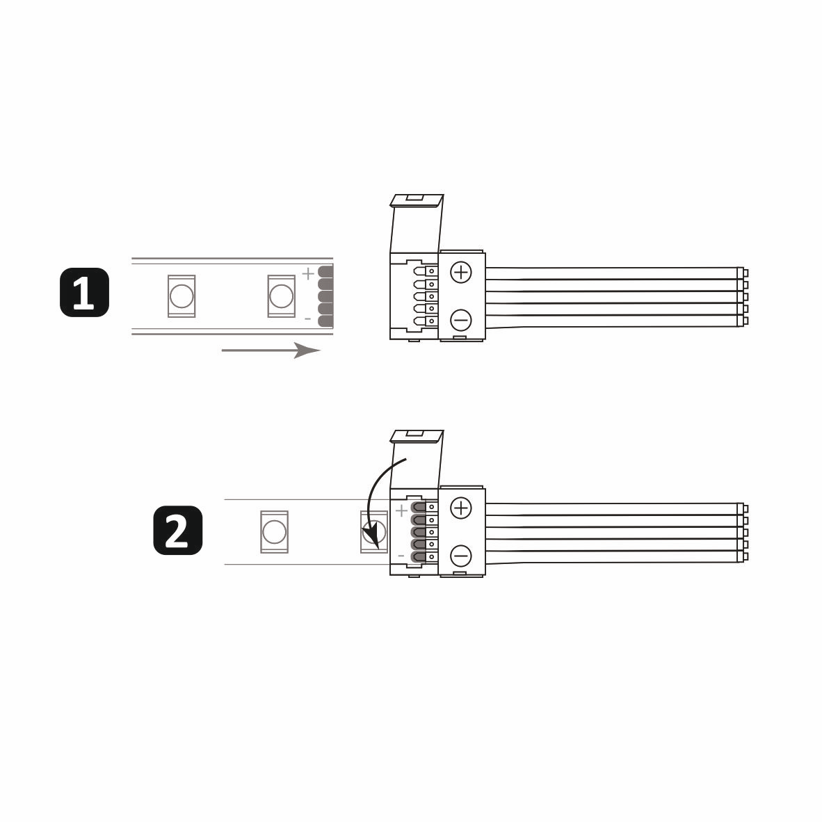 Złączka do taśm LED RGBW 12mm Goldlux - 5