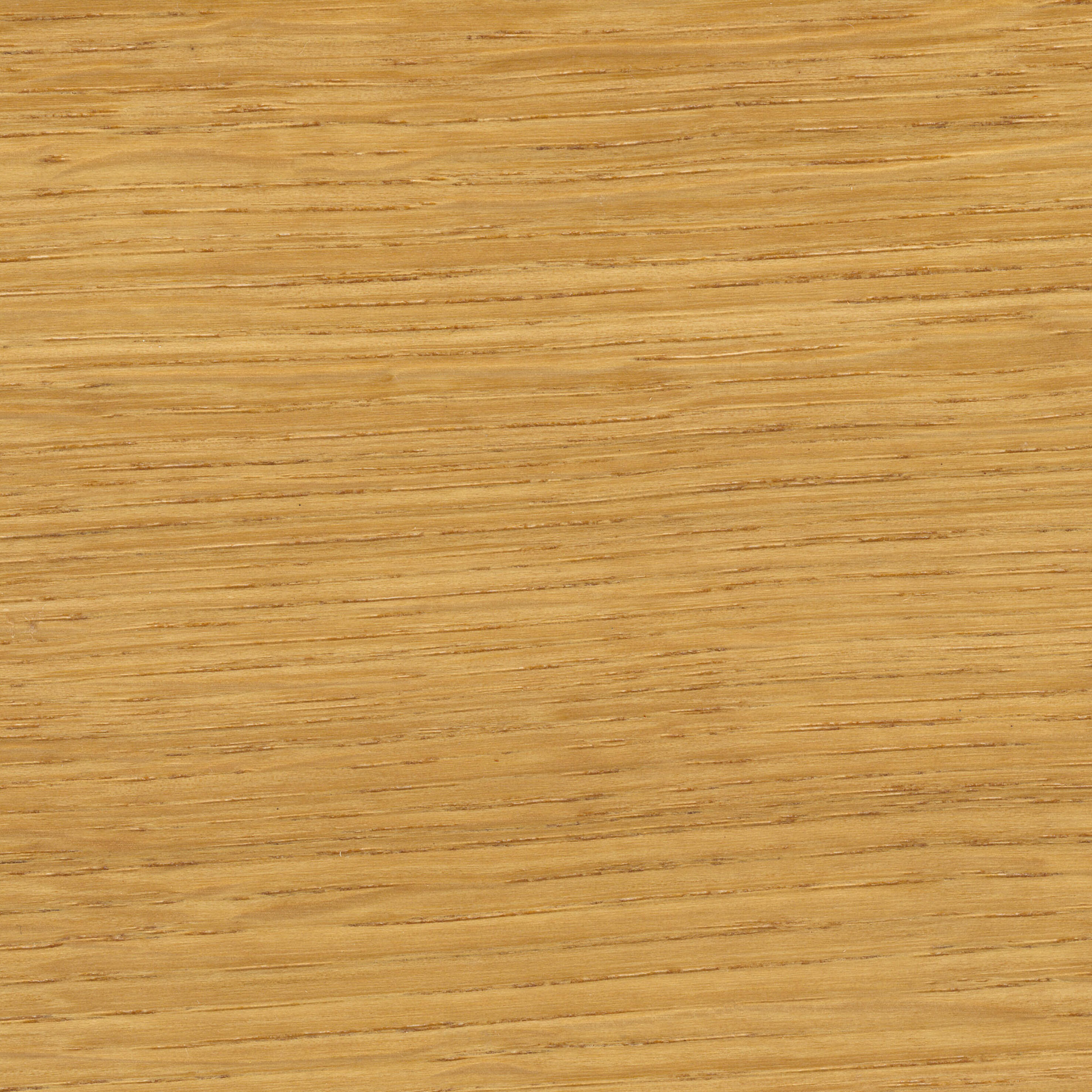 Vitrificateur parquet Biosourcé SYNTILOR, incolore mat 5L - 2