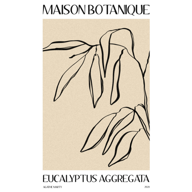 Affiche A MARTY EUCALYPTUS, assorti l.40 x H.30 cm