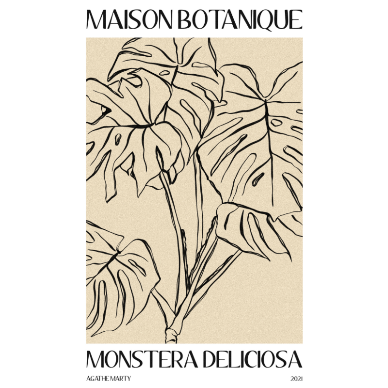 Affiche A MARTY MONSTERA, assorti l.40 x H.30 cm | Leroy Merlin