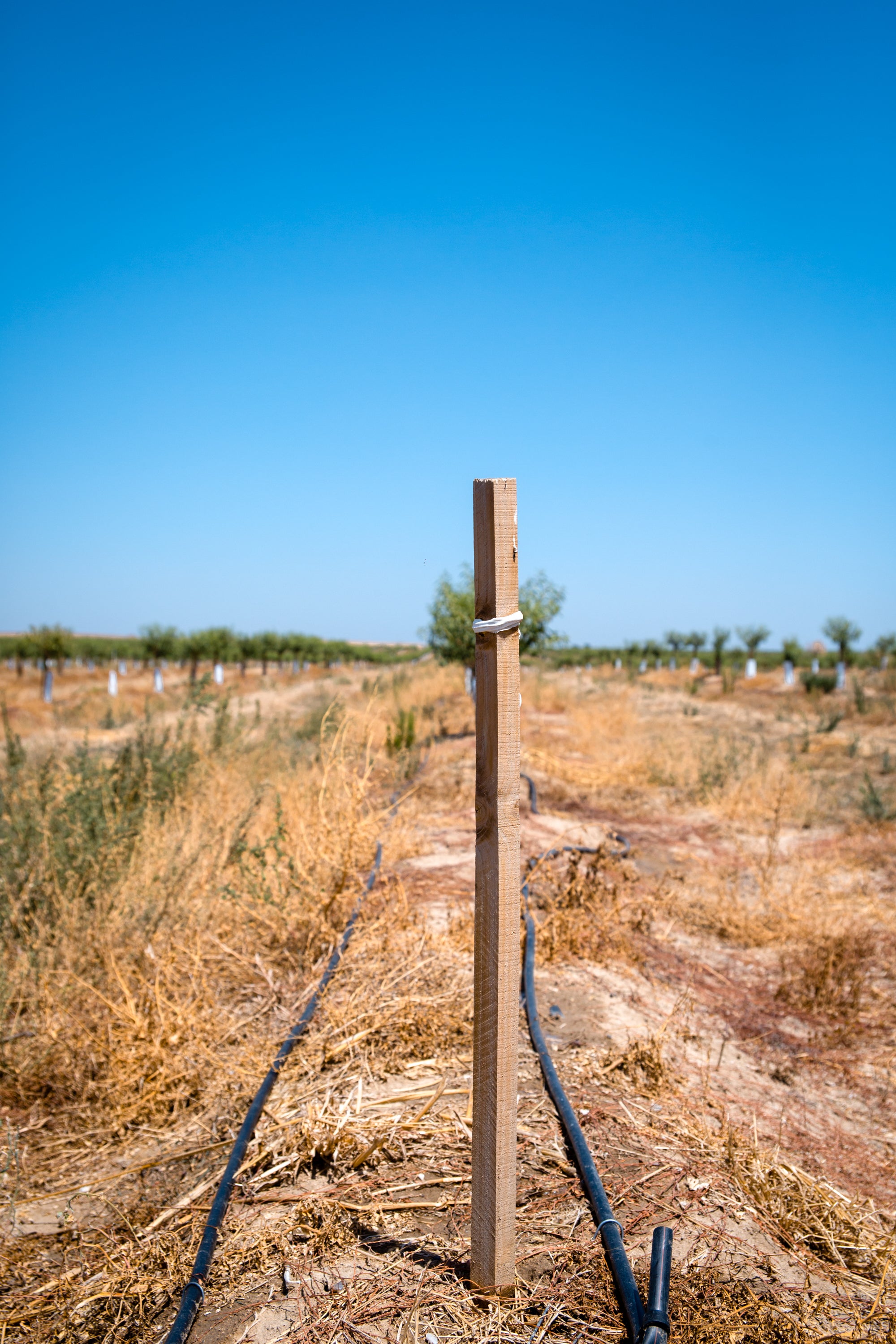 Poste de madera maciza 3/5 200 cm