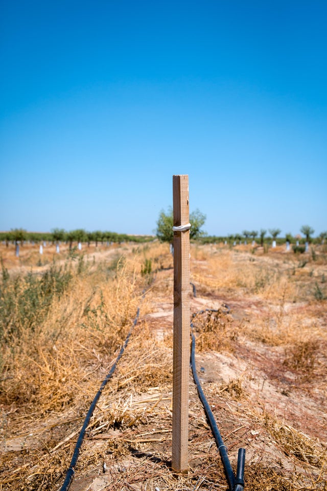 Poste cuadrado de madera 3 x 3 x 150 cm verde CARMO