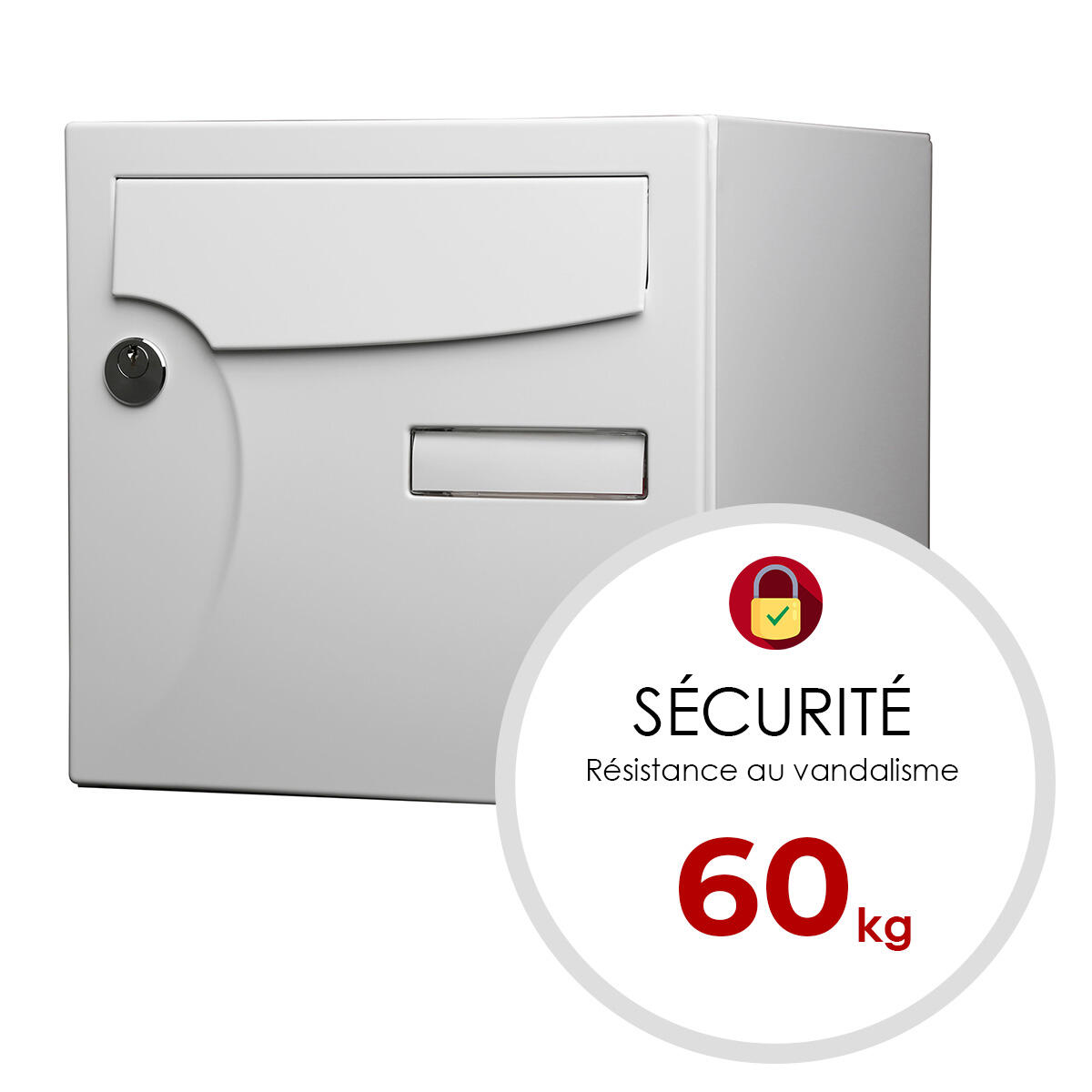 Boîte aux lettres normalisée 1 porte RENZ Animation, extérieur, acier blanc - 5