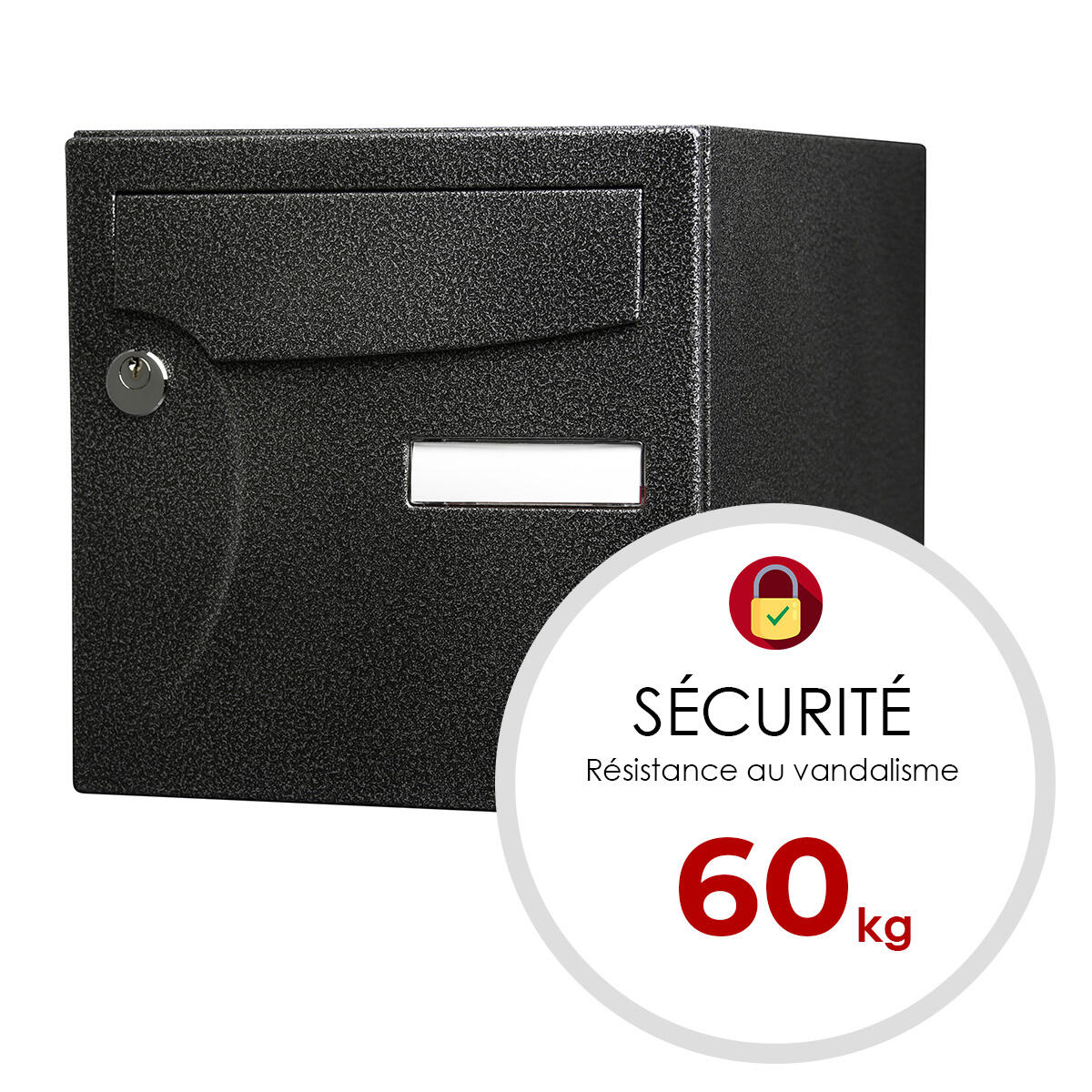 Boîte aux lettres normalisée 1 porte extérieur RENZ Animation acier noir - 5