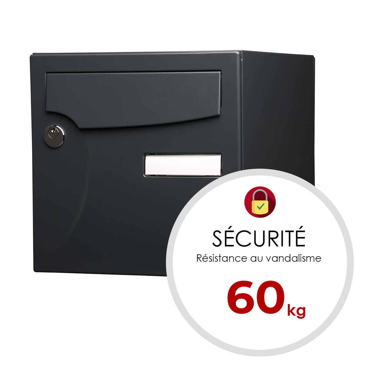 Boîte aux lettres normalisée 2 portes extérieur RENZ Animation acier anthracite - 5