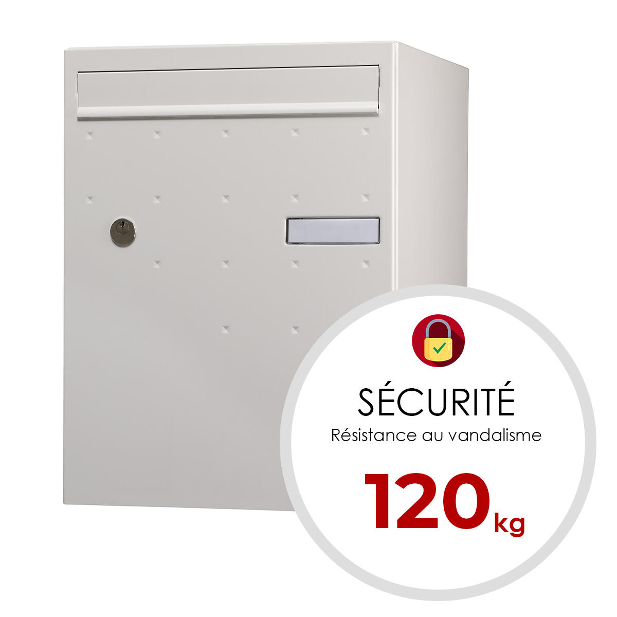 Boîte à colis normalisée 1 porte extérieur RENZ Atout acier blanc mat sablé - 6