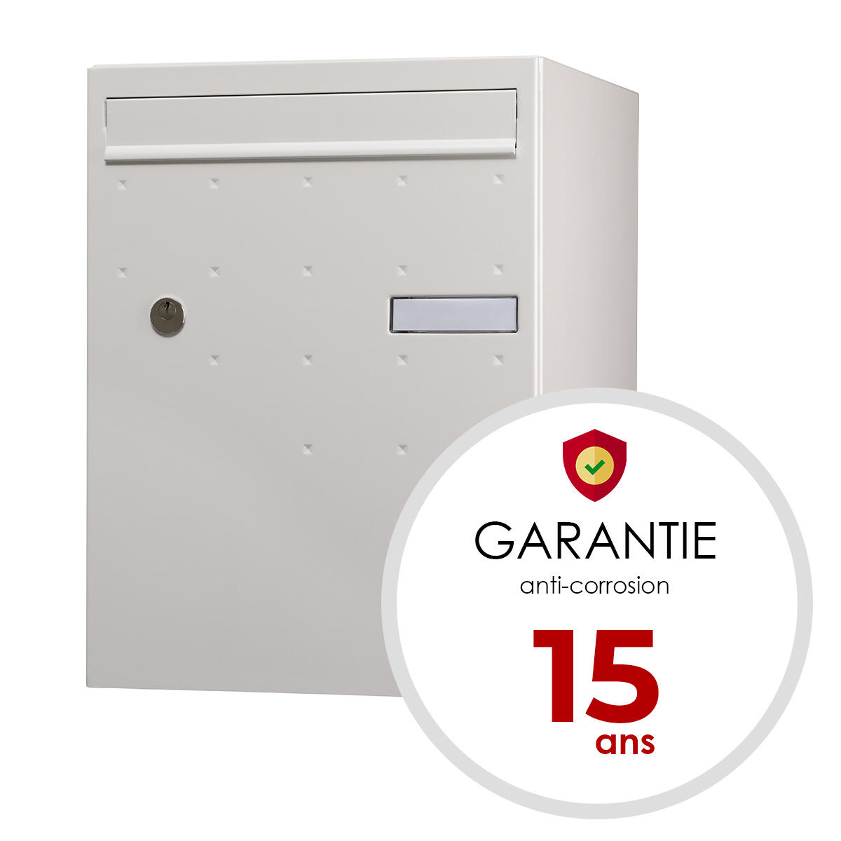 Boîte à colis normalisée 1 porte extérieur RENZ Atout acier blanc mat sablé - 5