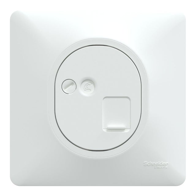 Prise rj45 complet Ovalis, SCHNEIDER ELECTRIC, blanc