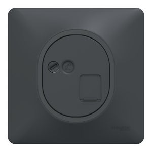 Prise rj45 complet Ovalis, SCHNEIDER ELECTRIC, gris anthracite