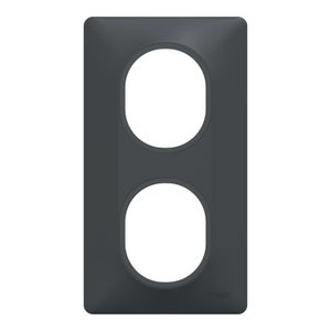 Plaque double verticale Ovalis, SCHNEIDER ELECTRIC, gris anthracite