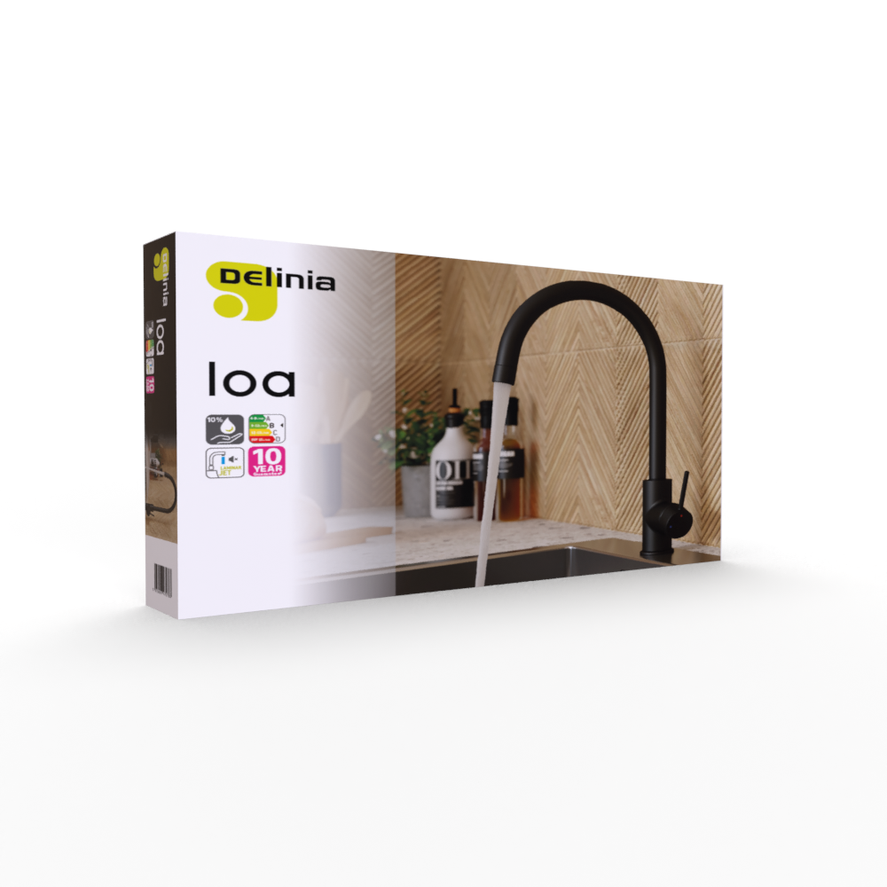 Robinet de cuisine DELINIA Loa noir - 10