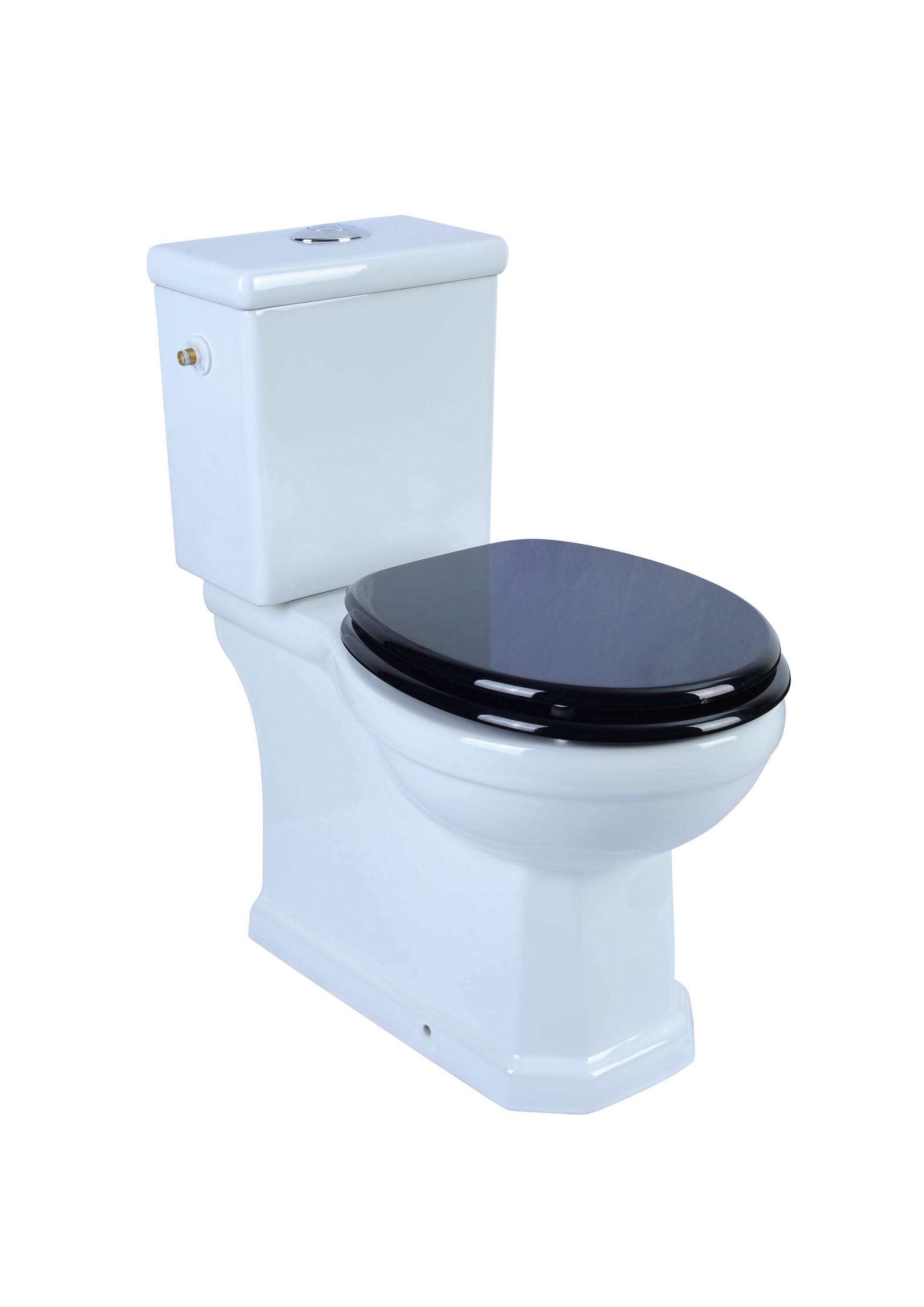WC Monoblocco Filomuro Tygo Senza Brida - Design Moderno, Ceramica Antibatterica, Con Soft-close - Foto 9