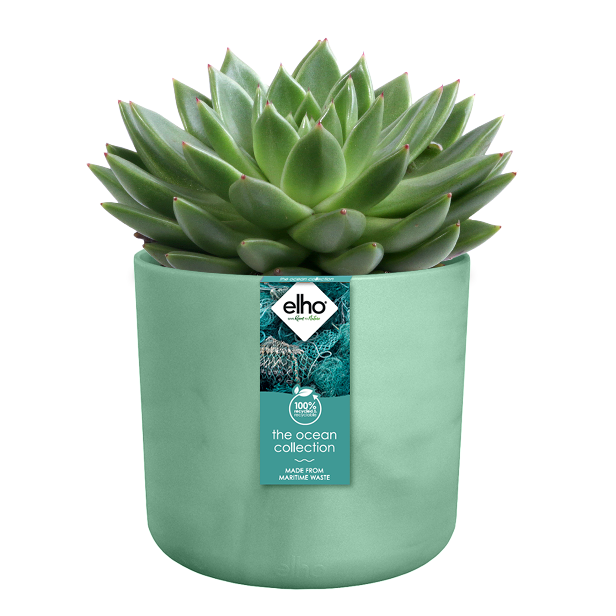 Cache pot rond ELHO D.22 x H.20.4 cm vert - 3