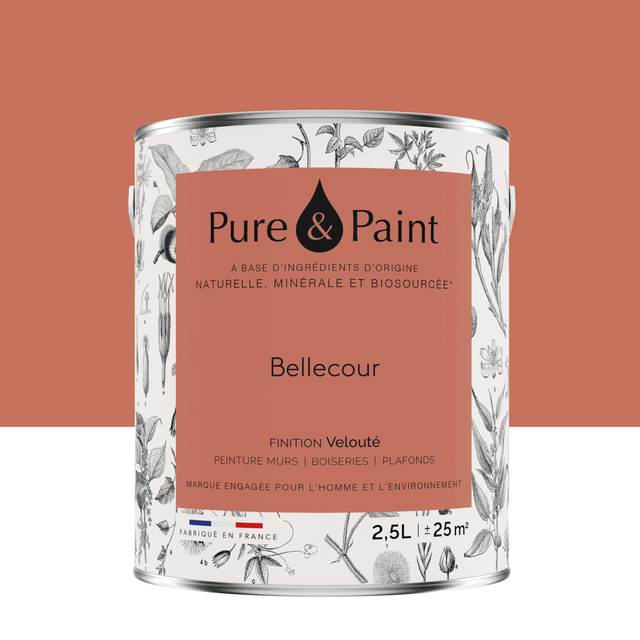 Peinture mur, boiserie bellecour velours PURE & PAINT , 2.5L