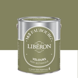 Peinture mur, boiserie vert botanique velours LIBÉRON 163 faubourg 2.5L Leroy Merlin Les bons plans des petits projets avant l'été