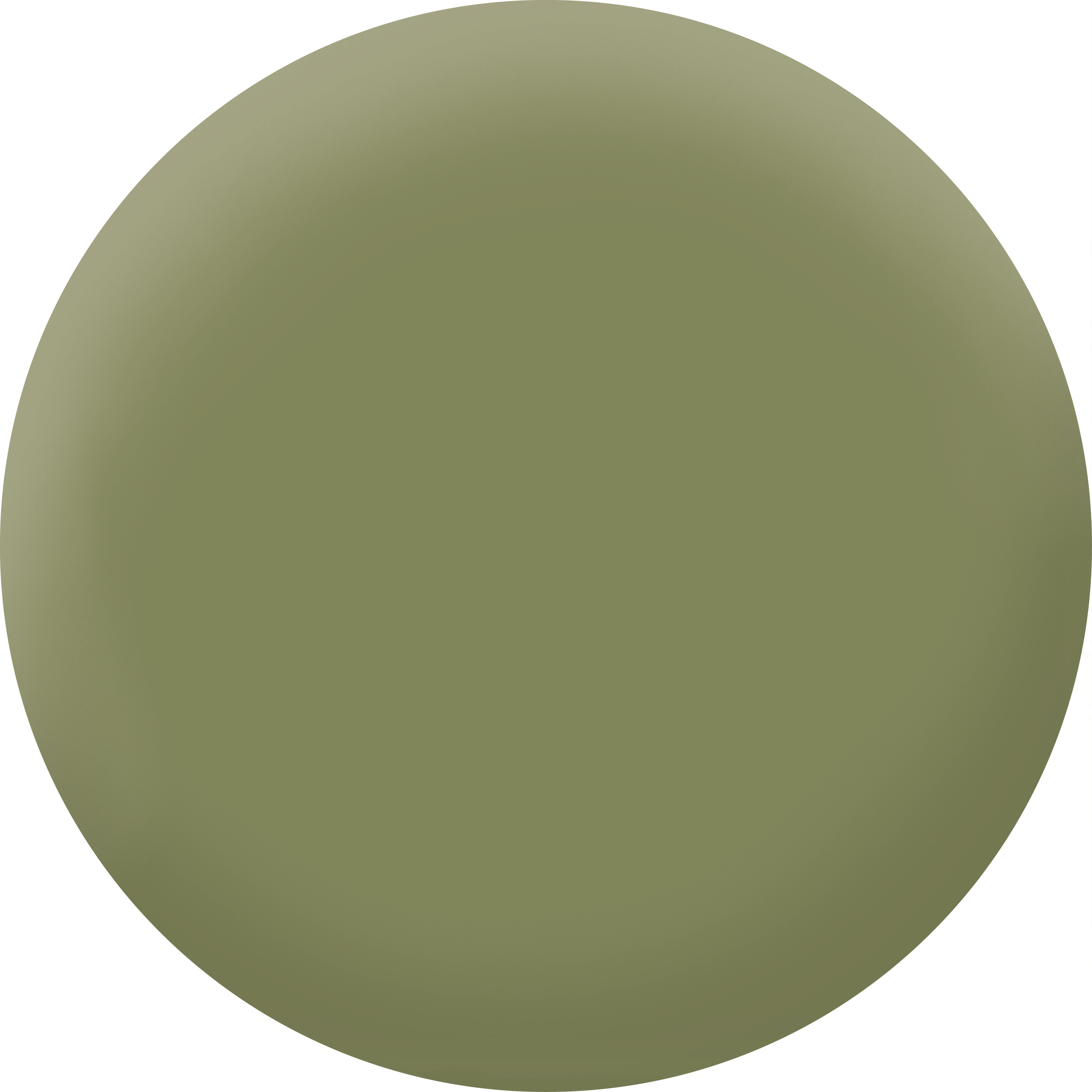 Peinture mur, boiserie loden velours PURE & PAINT , 2.5L - 2