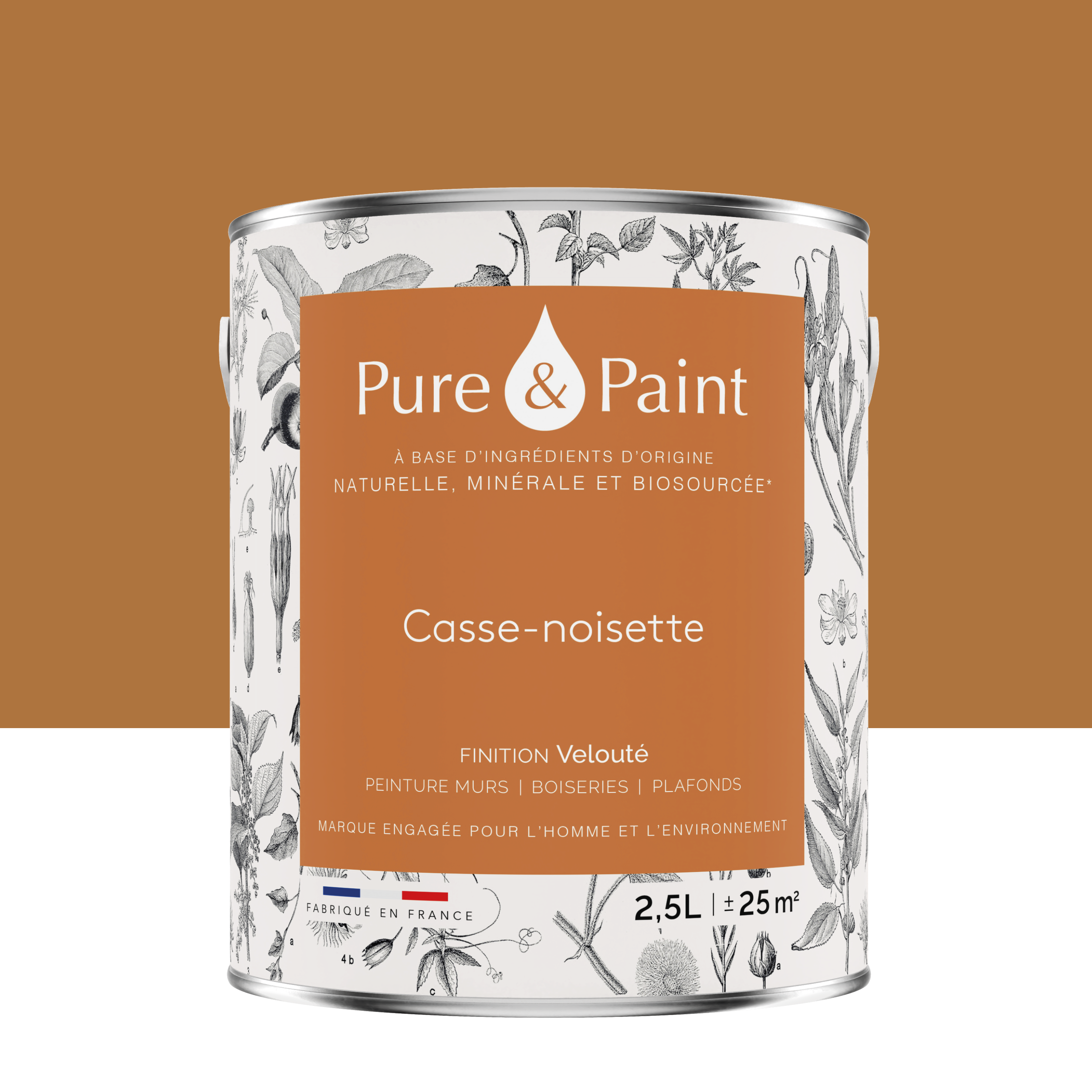 Peinture mur, boiserie casse noisette velours PURE & PAINT , 2.5L — free download