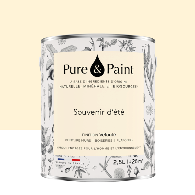Peinture mur, boiserie souvenir d'été velours PURE & PAINT , 2.5L
