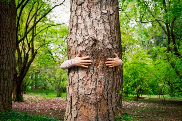 Para um ambiente mais sustentável