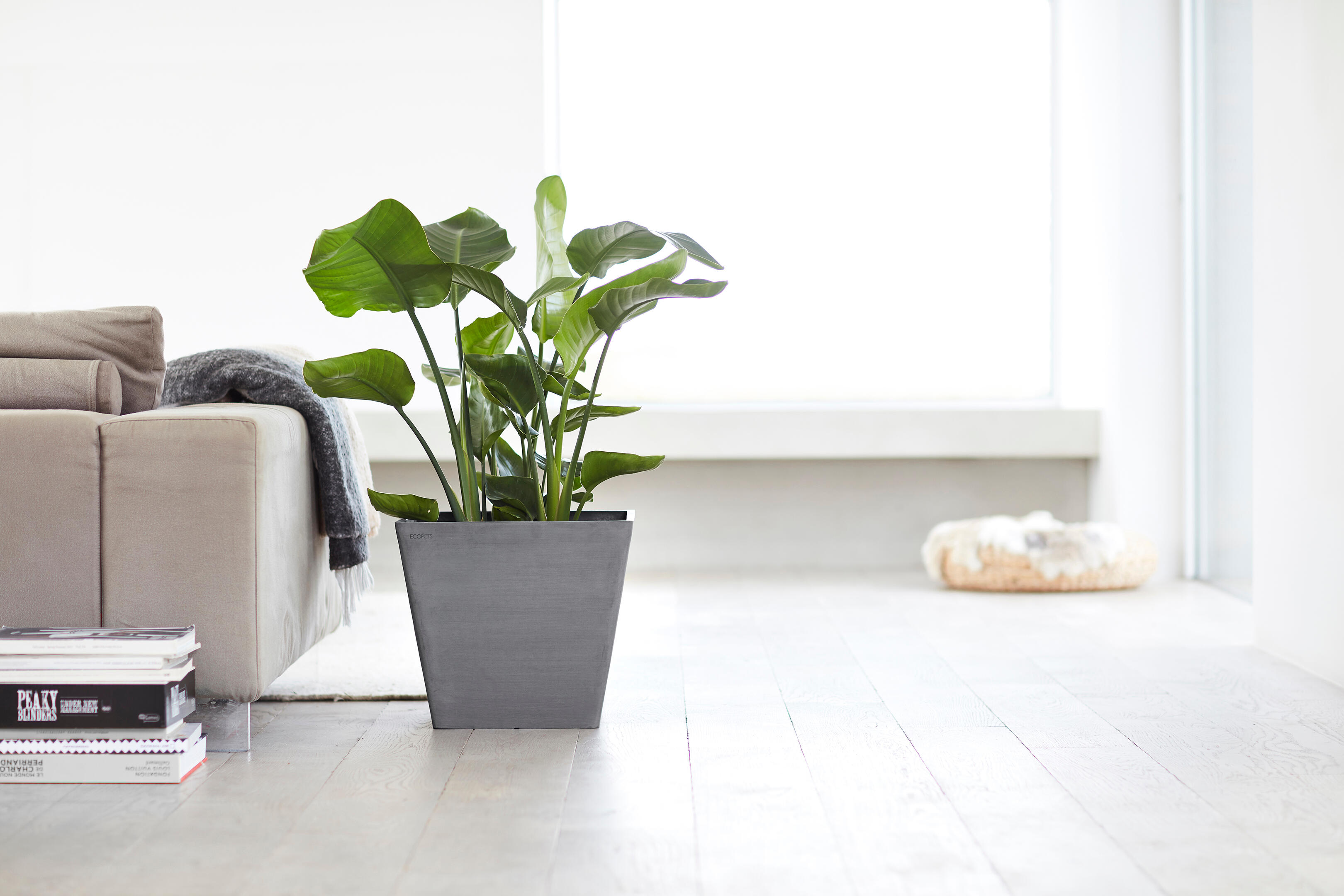 Pot carré en résine L40-H36 ECOPOTS Rotterdam Ciment - 3
