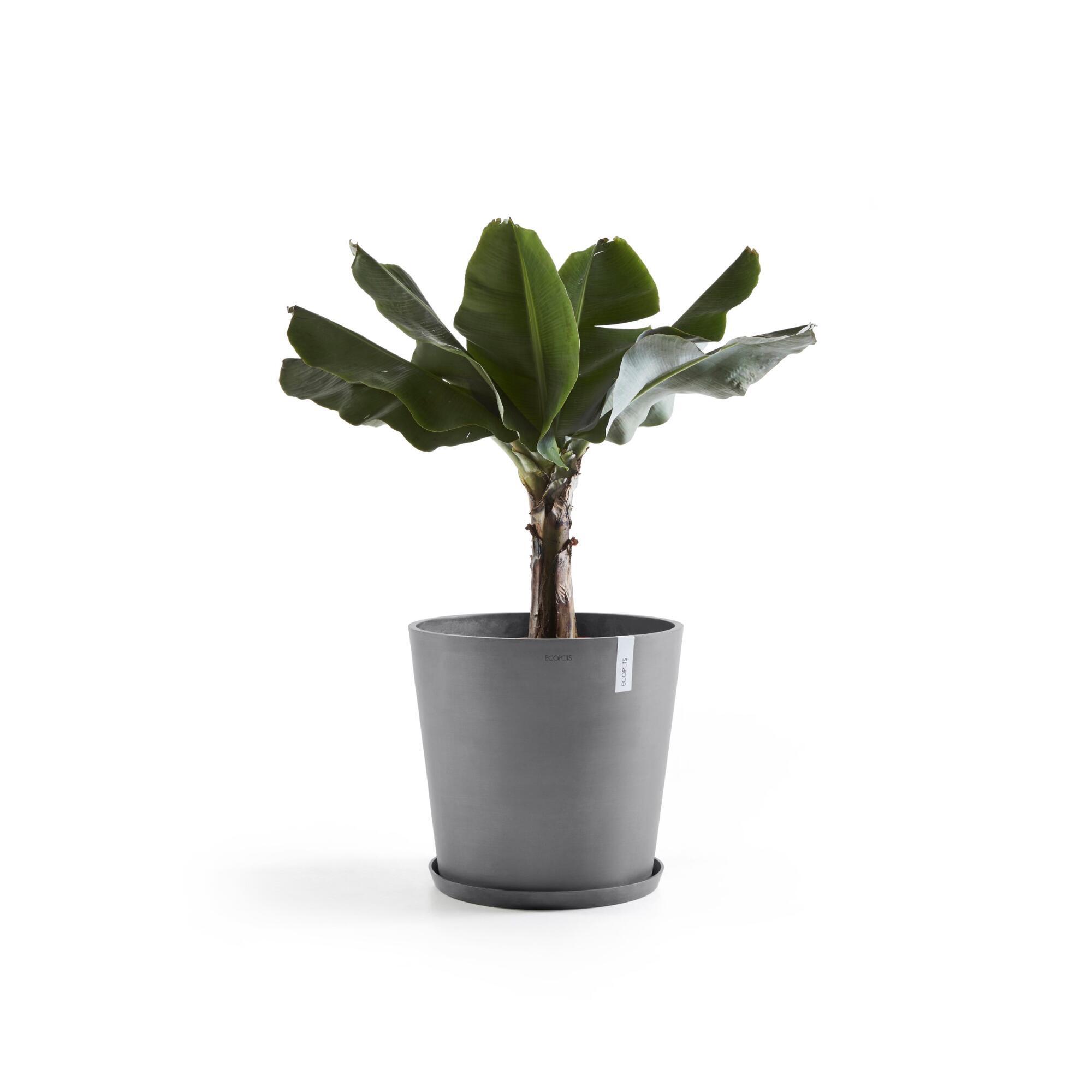Vaso Amsterdam ECOPOT'S in polipropilene grigio scuro H 55.5 x ø 60 cm - 4