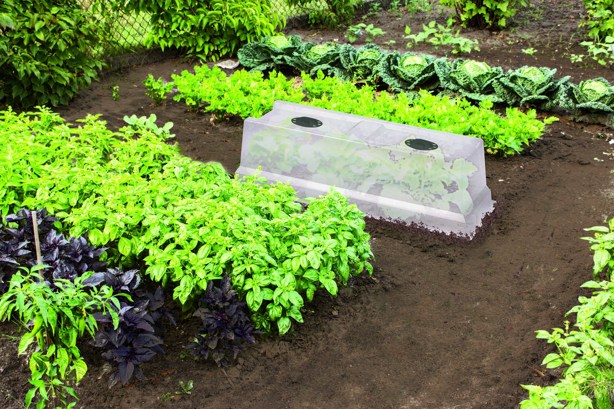 Serre de culture EDA PLASTIQUES Vegetable City, L.37,5 x l.75 x H.21,5 cm - 4