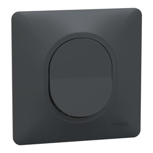 Lot de 5 interrupteurs va-et-vient complet Ovalis SCHNEIDER ELECTRIC, anthracite