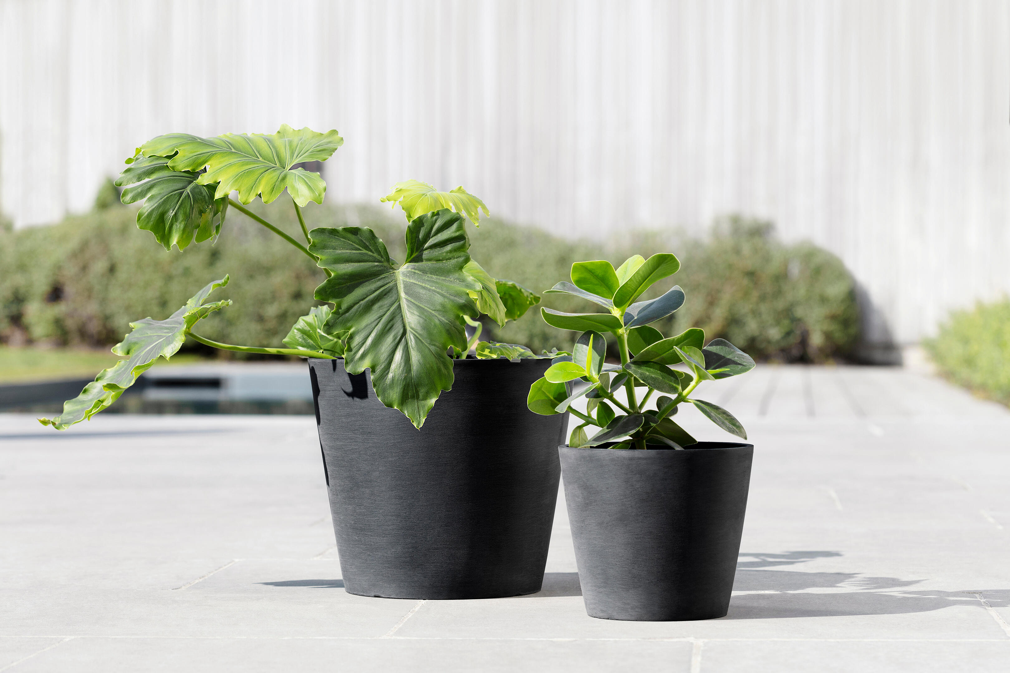 Vaso ECOPOT'S in nero H 26.3 x ø 30 cm - 2