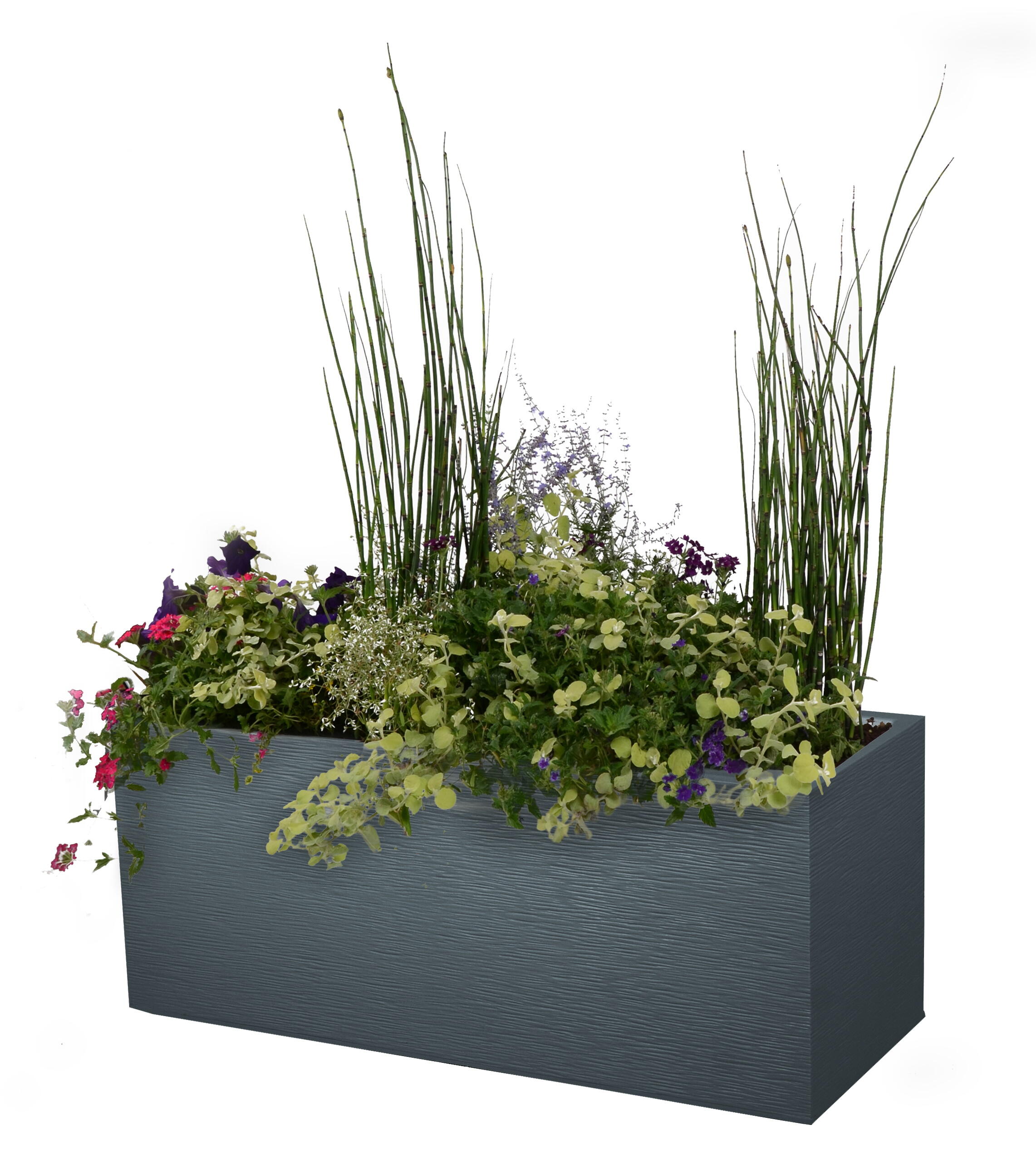 Jardinière plastique EDA L.99.5 x l.39 x H.43 cm anthracite - 7