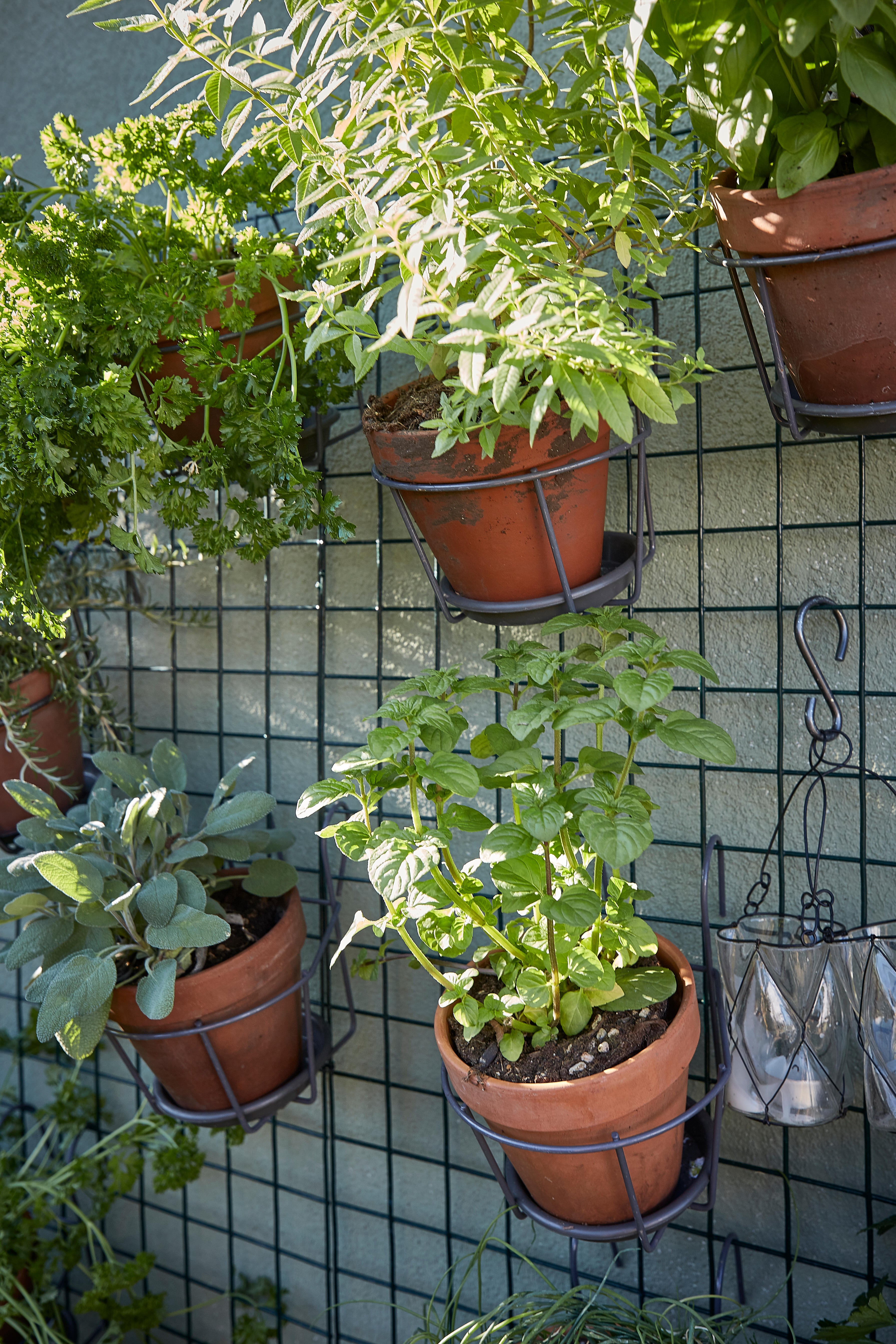 Panneau treillis métal vert, maille 50mm, H.120cm x l.60cm, Ideal Garden - 4