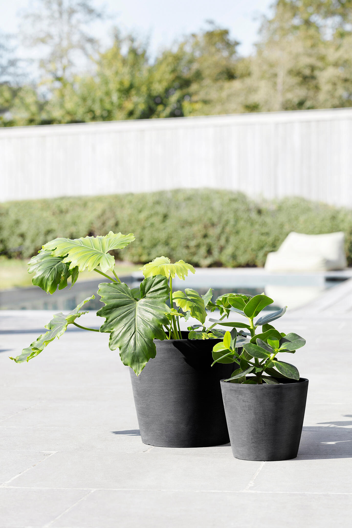 Vaso ECOPOT'S in resina nero H 17.5 x ø 20 cm - 5