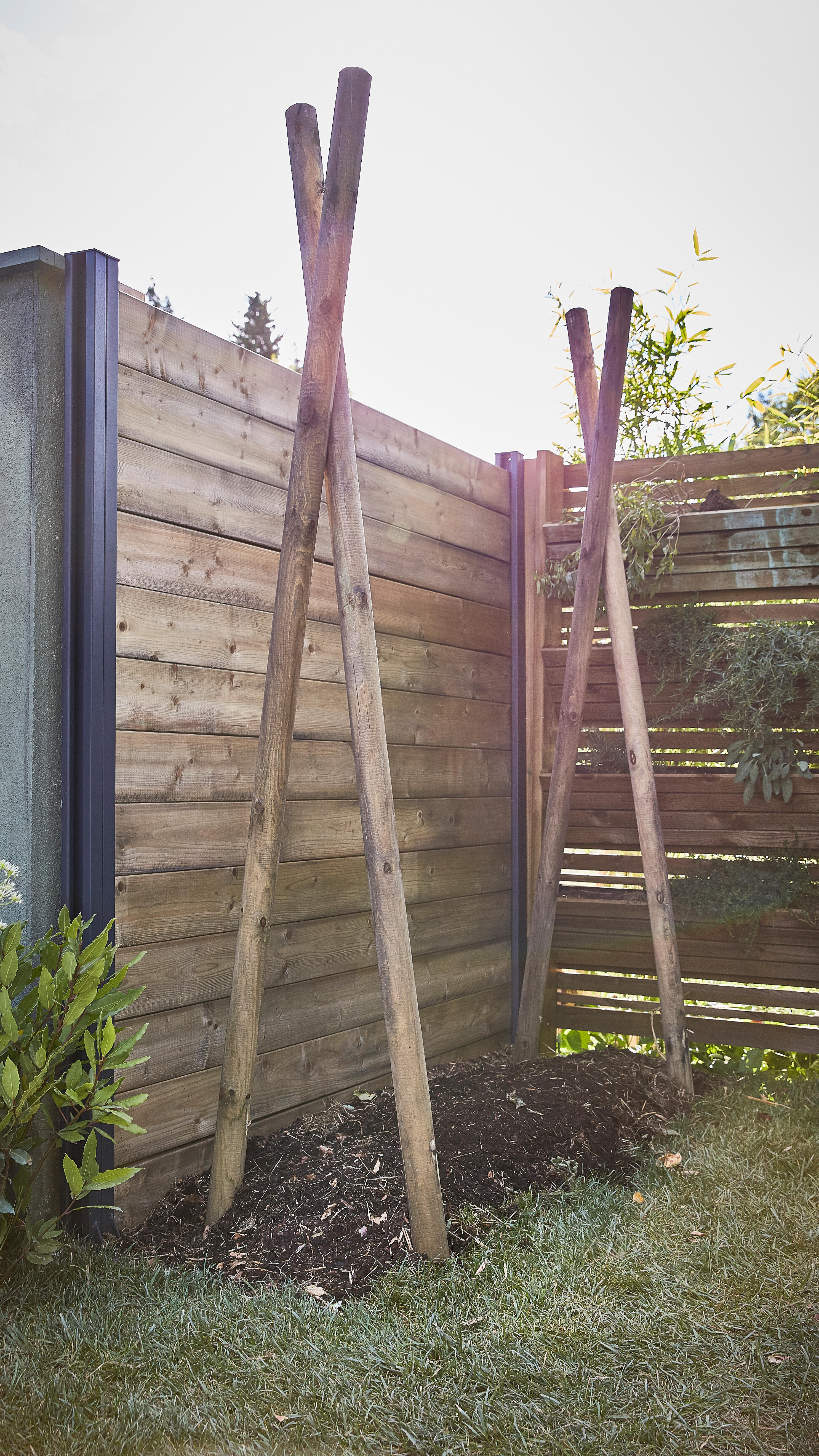 Estaca de madera de 2,5 m de alto y 6 cm de diámetro - 10