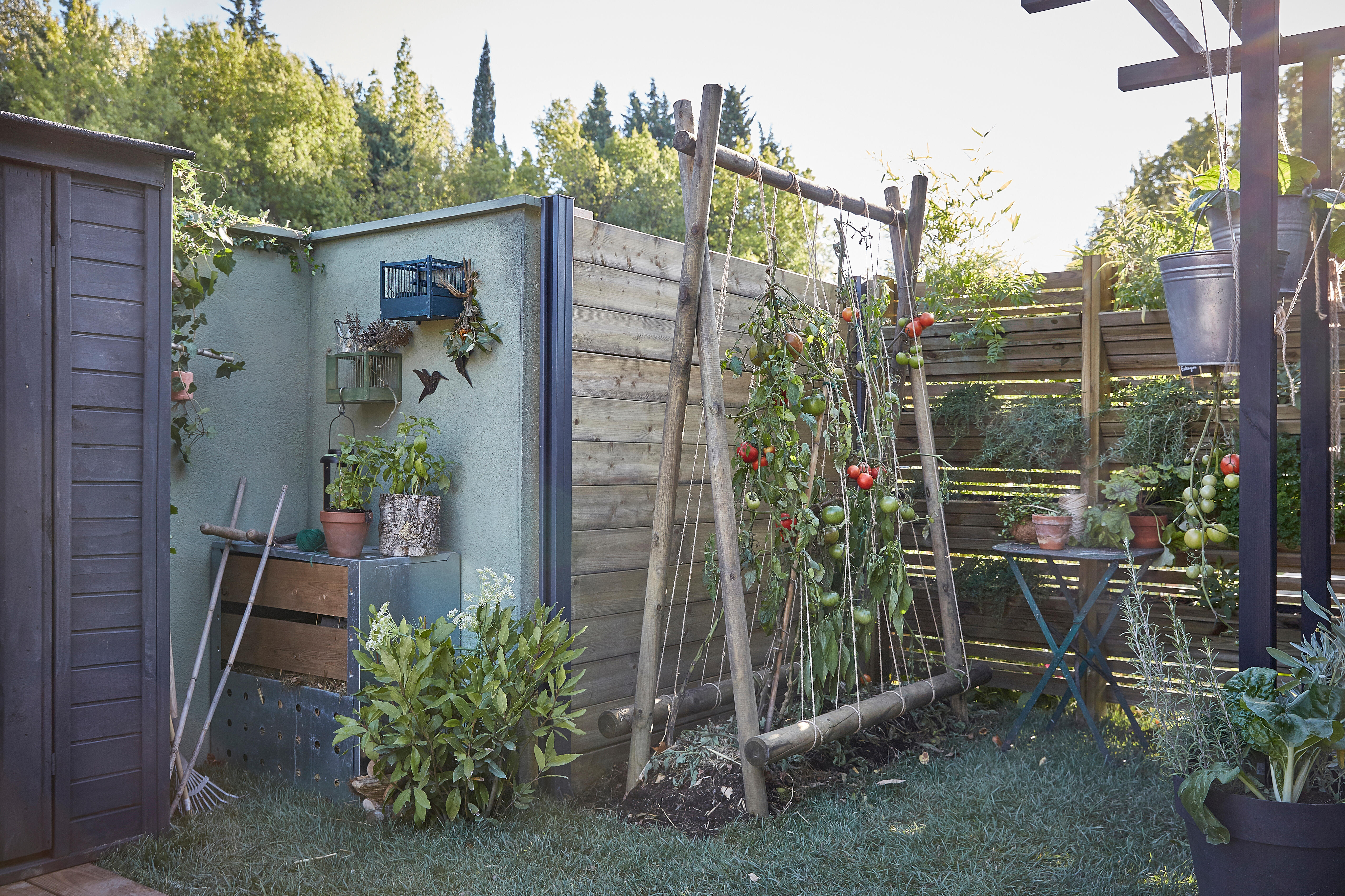 Estaca de madera de 2,5 m de alto y 6 cm de diámetro - 9