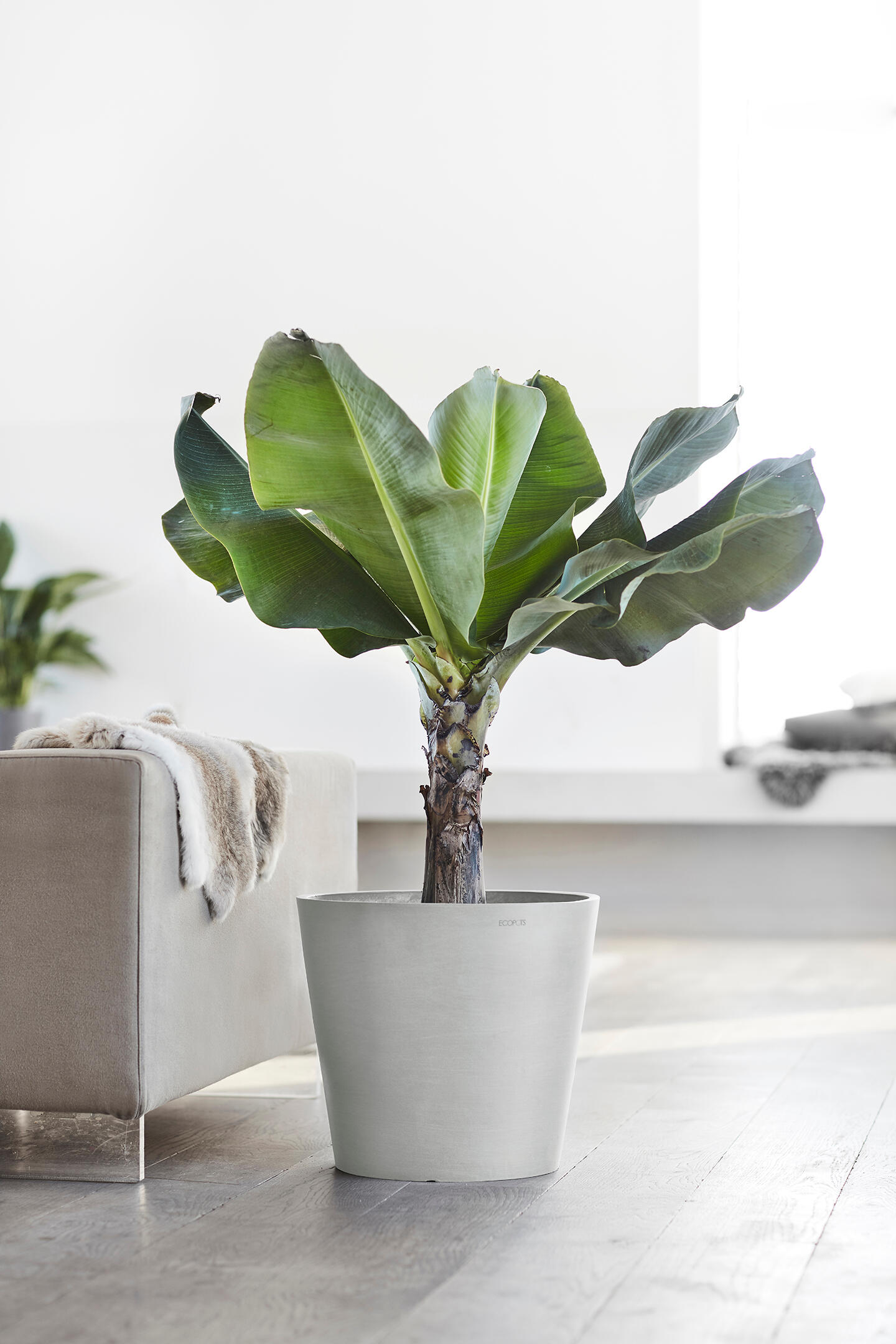 Vaso ECOPOT'S in resina bianco H 36 x ø 40 cm - 3