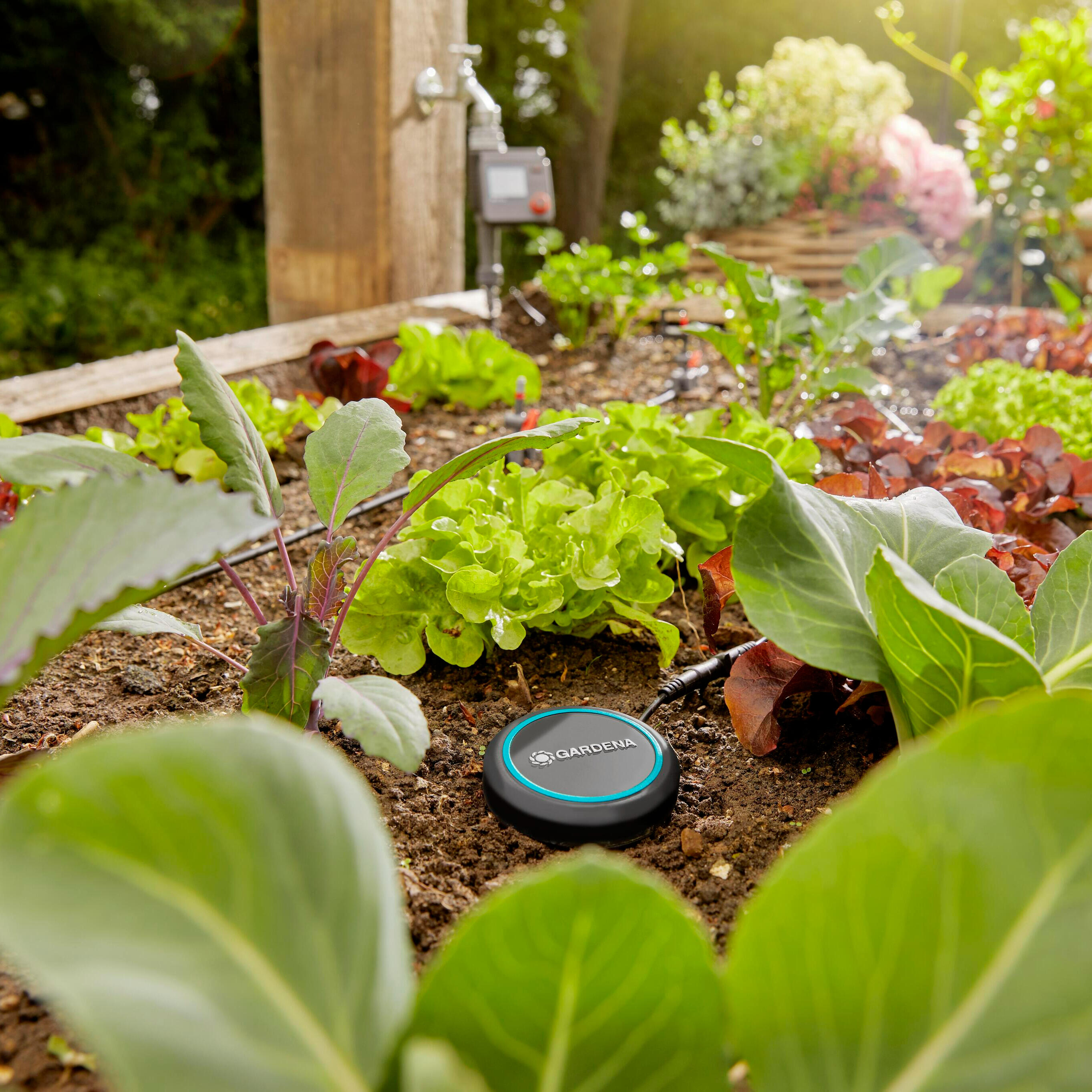 Programmateur d'arrosage Bluetooth® GARDENA 1889-20 - 8