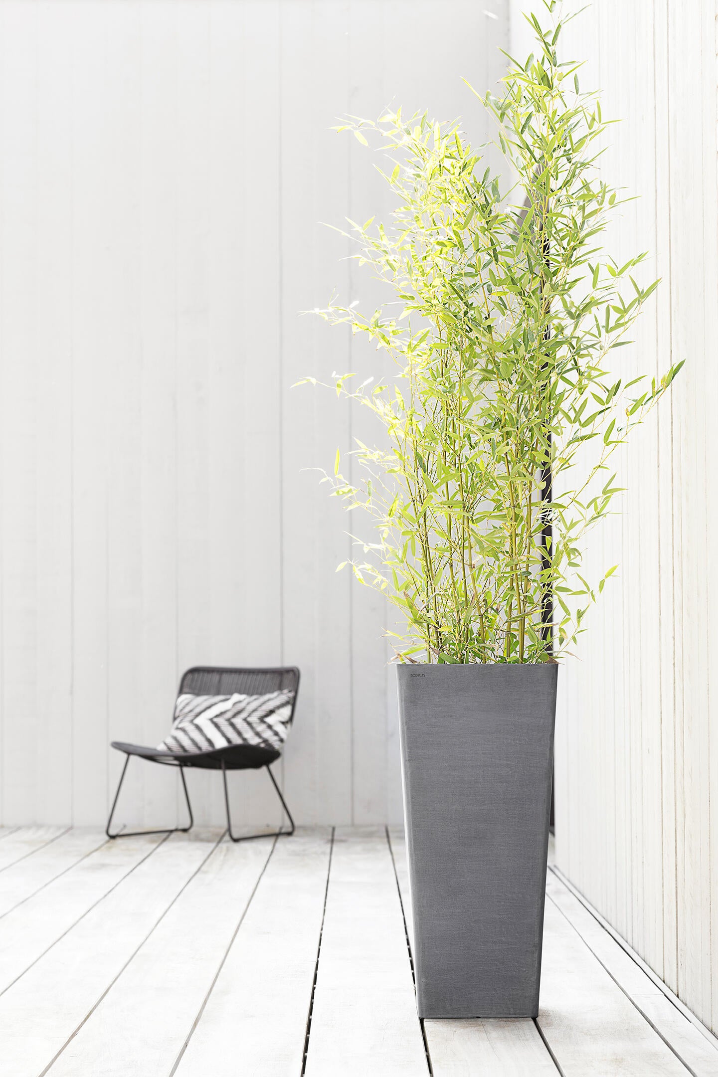 Vaso Rotterdam ECOPOT'S in polipropilene grigio H 70 x L 32 x P 32 cm - 3