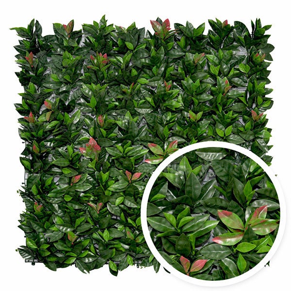 Mur végétal artificiel photinia, H.1 x L.1 m, FRANCE GREEN - 8