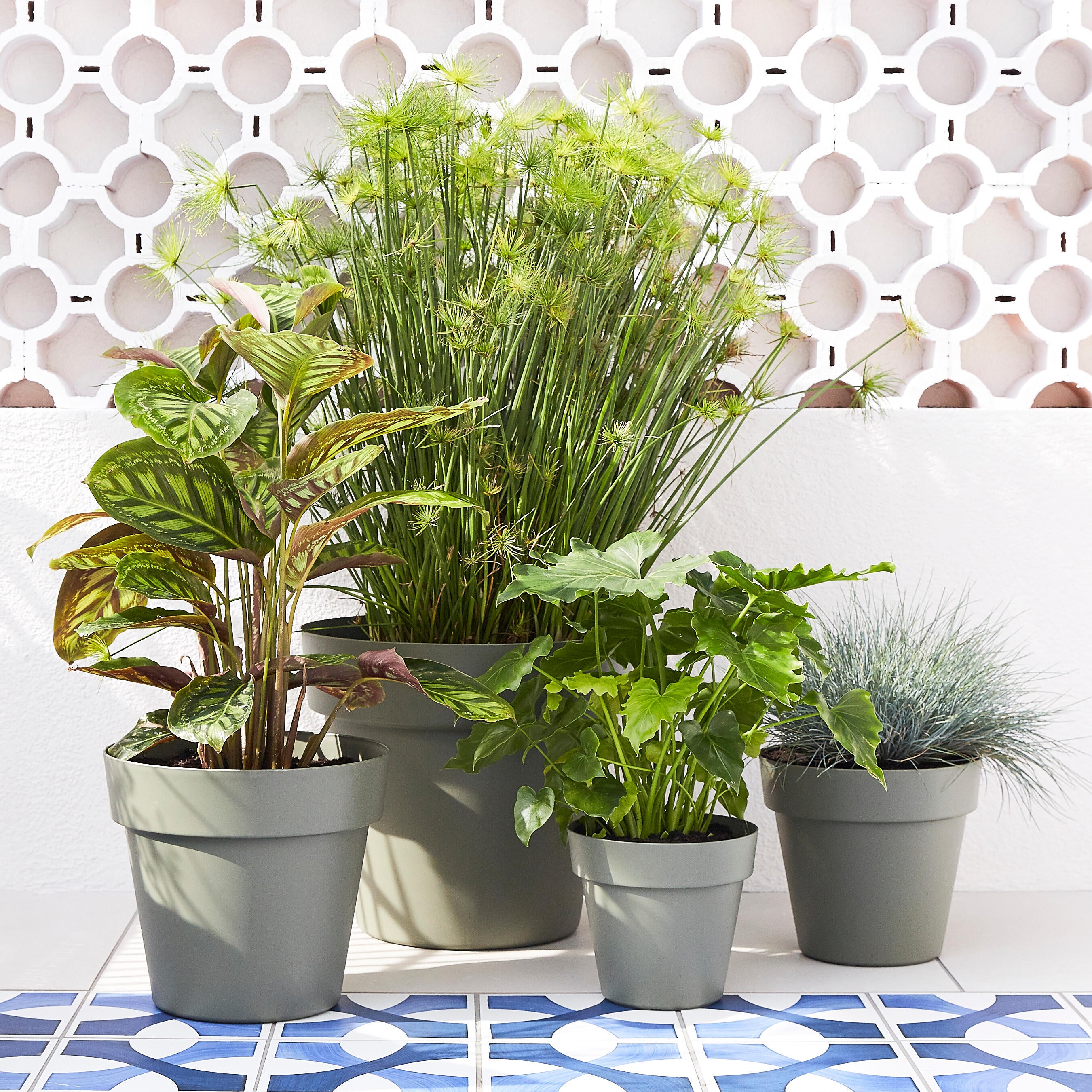 Pot polypropylène NATERIAL Naterial round 47 olive green Diam.47 L.47 x l.47 x H - 2