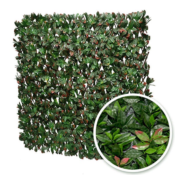 Treillis occultant photinia, H.1 x L.2 m - 3