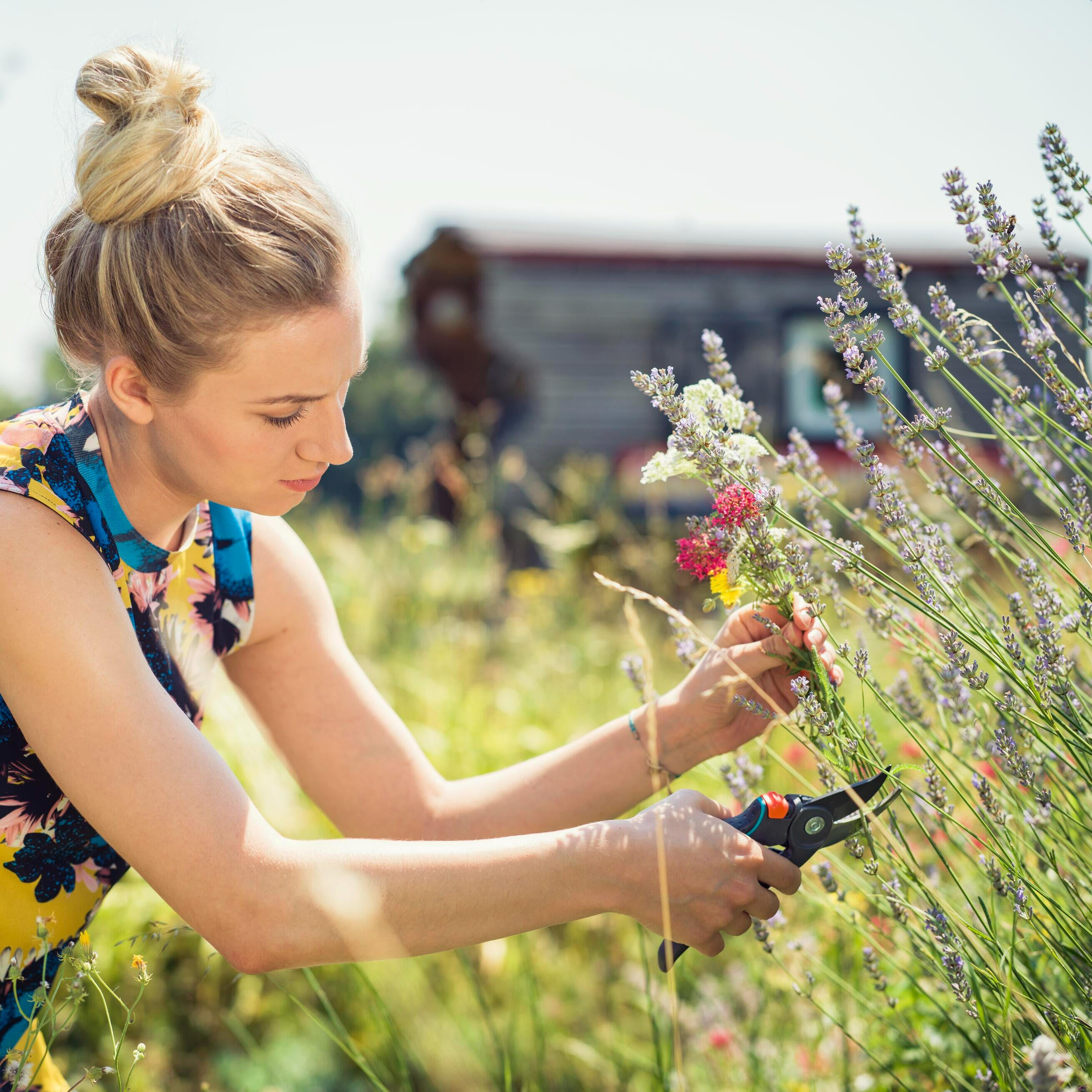 Sécateur à lame franche GARDENA B/M Comfort 8904-20, 24.0 mm - 8