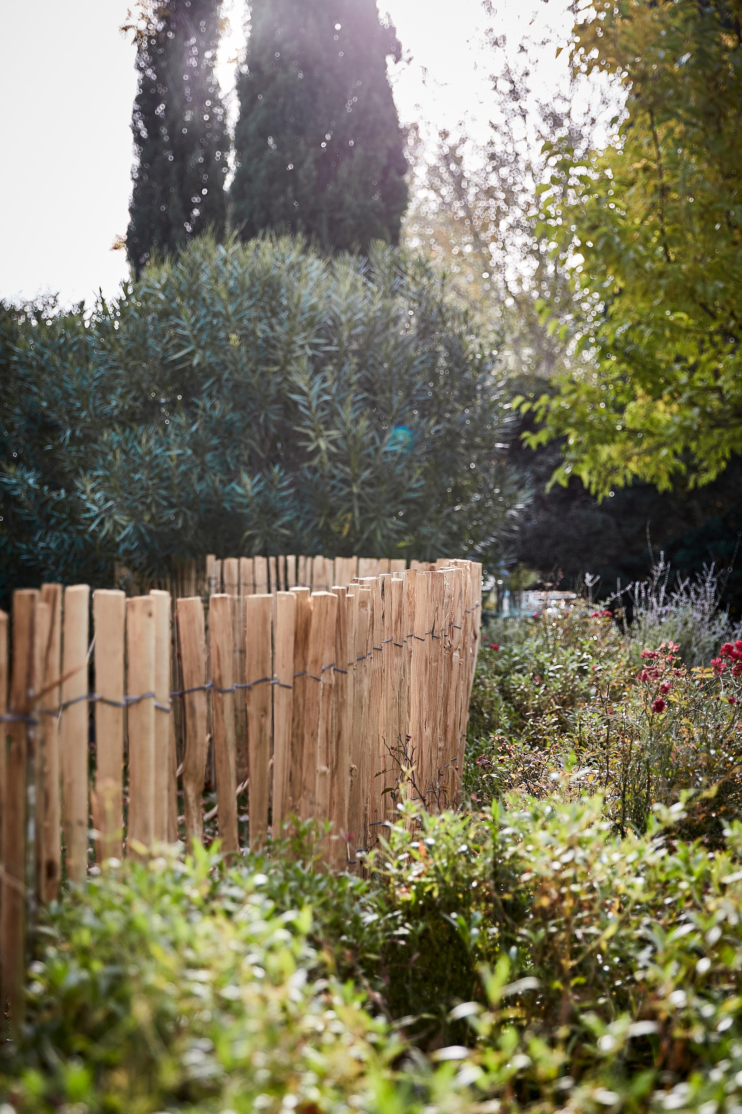 Ganivelle châtaigner, H.1.50 x l.5 m - 4