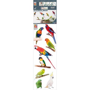 Stickers Adhésifs Transparents Petits Oiseaux - Format A3 (environ 29,7 X 42 Cm) - Décoration Fenêtre, Mur, Meuble - Fabriqué En France