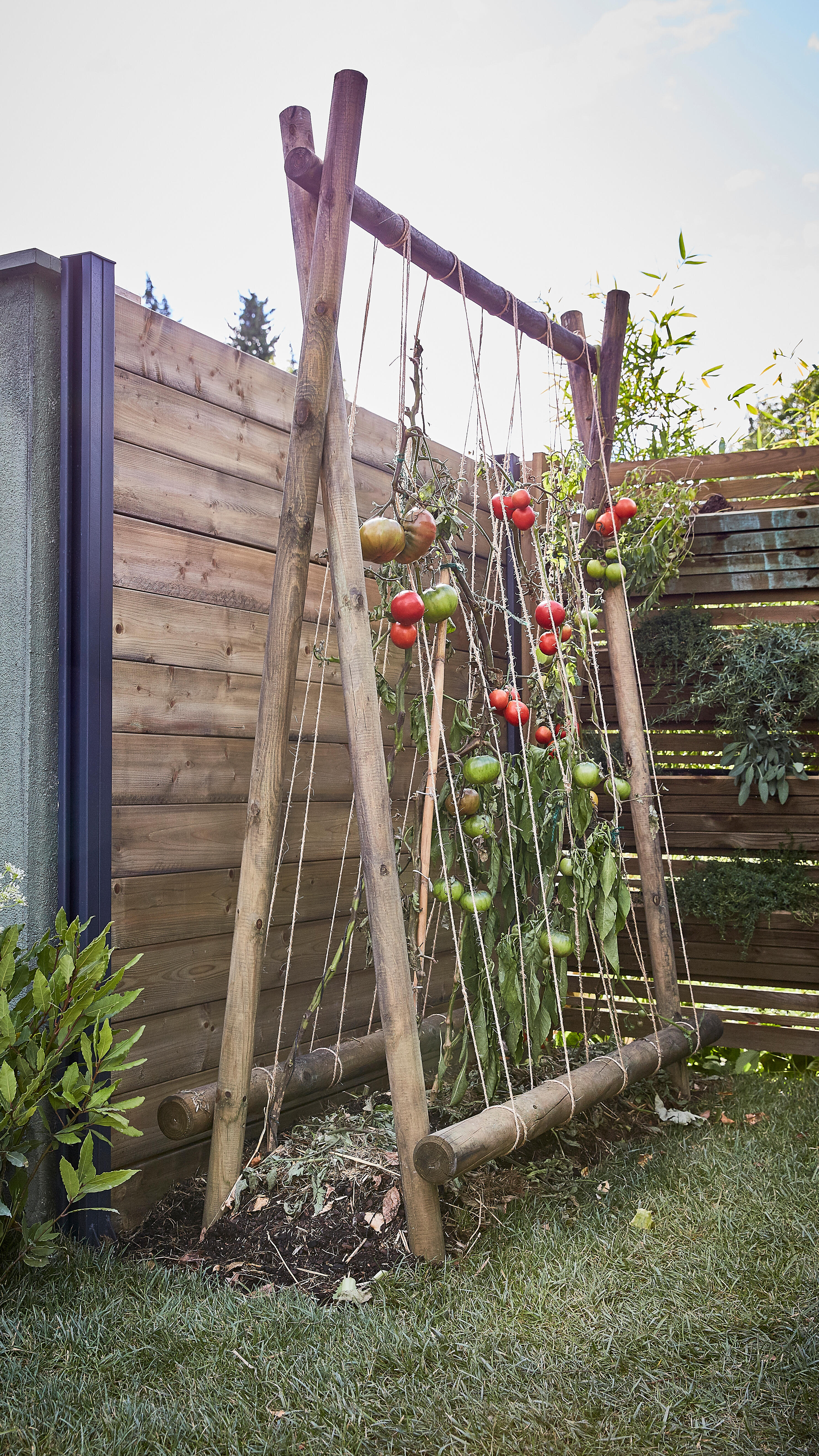 Estaca de madera de 2,5 m de alto y 6 cm de diámetro - 6