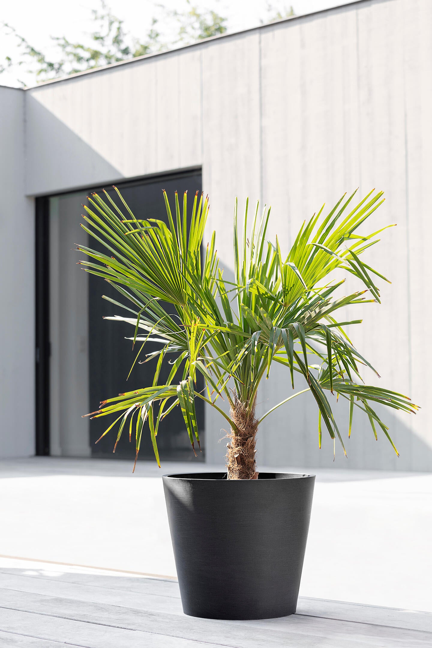 Vaso ECOPOT'S in resina nero H 35 x ø 40 cm - 2