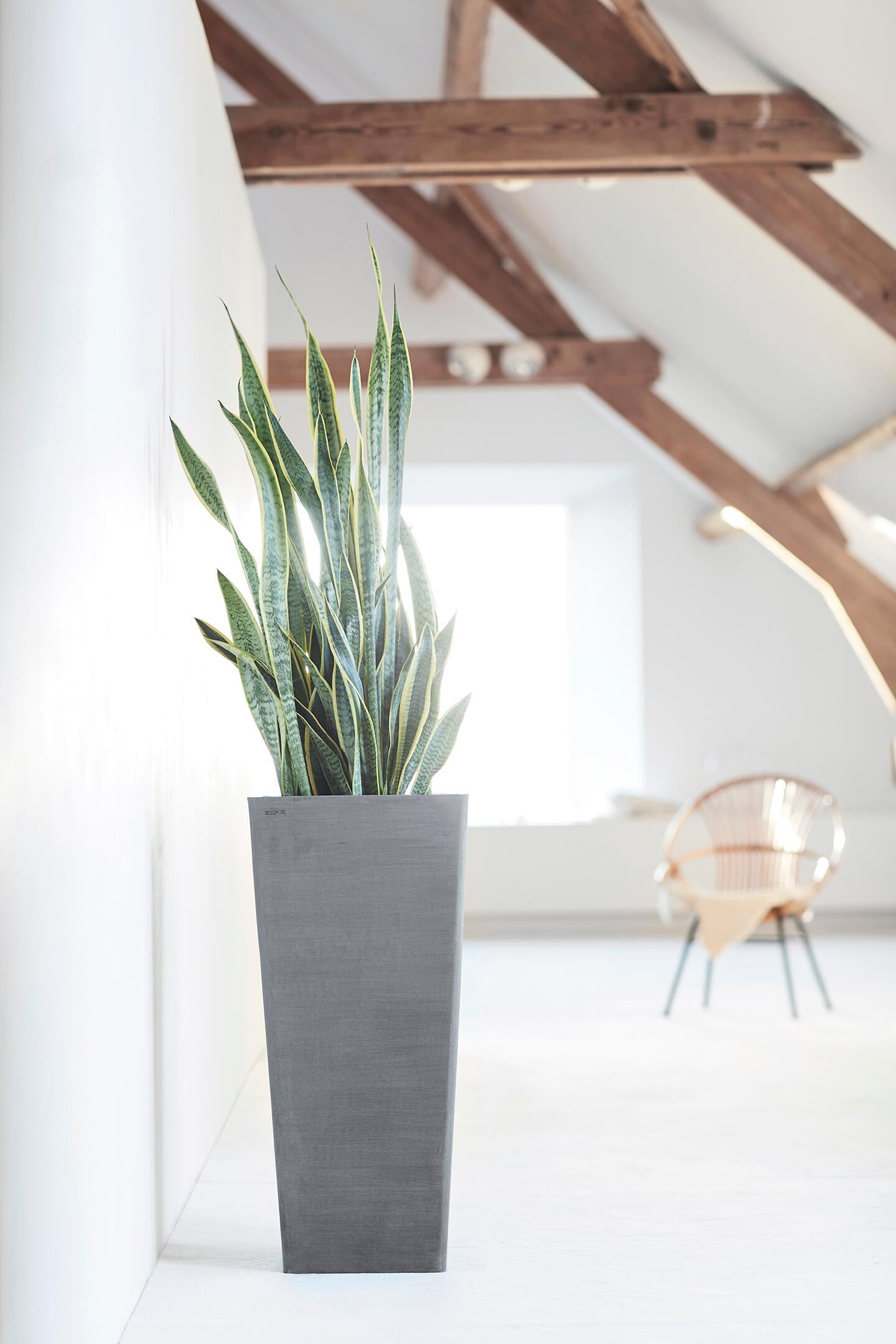 Vaso Rotterdam ECOPOT'S in polipropilene grigio H 70 x L 32 x P 32 cm - 2