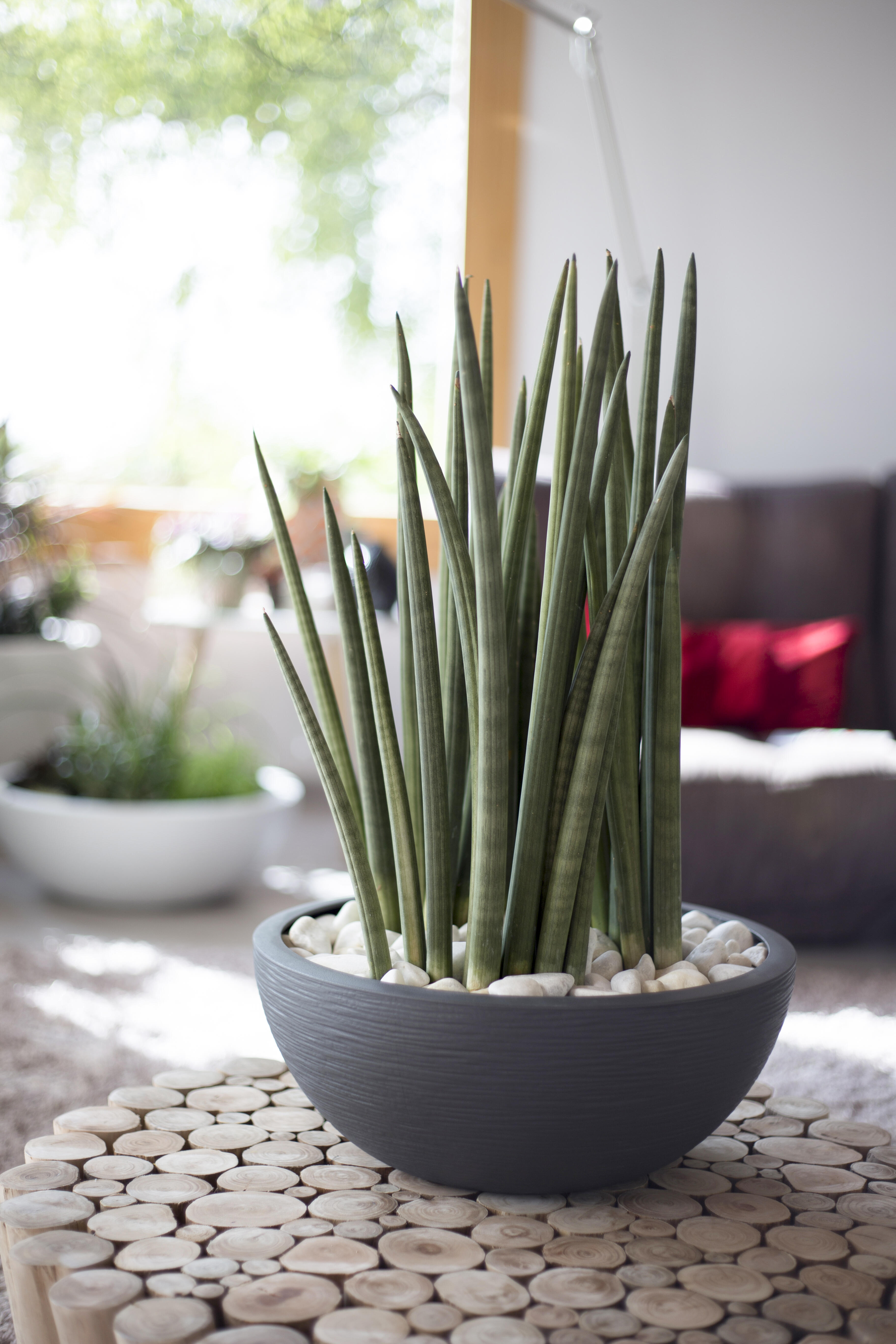 Vasque plastique Graphit, Diam.40 x H.16.5 cm, anthracite - 2