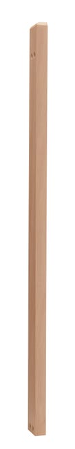 Ebnat manche bois brut hêtre avec filetage métal 140 cm Ebnat manche bois brut hêtre avec filetage métal 140 cm