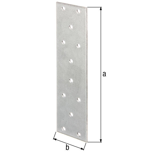 Platine multitrous galvanisé, 120x40x2 mm - 2
